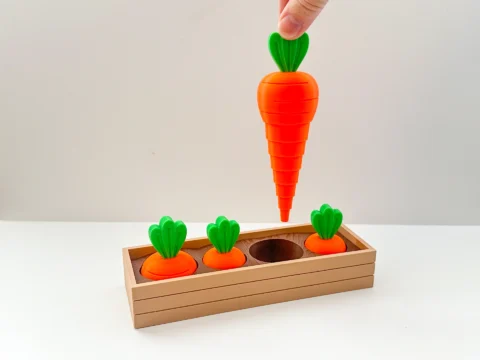 Carrot Garden 3d model