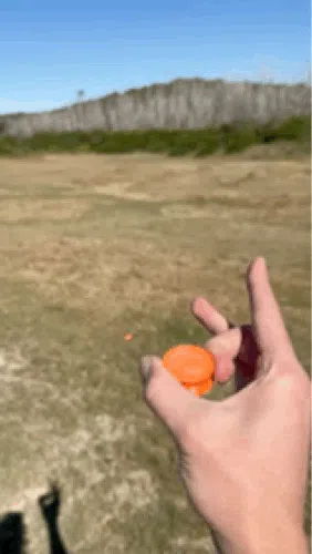 Flick Disc V3 - Mini Fribee3 3d model