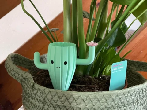 Happy Cactus Watering Plant Spike 3d model