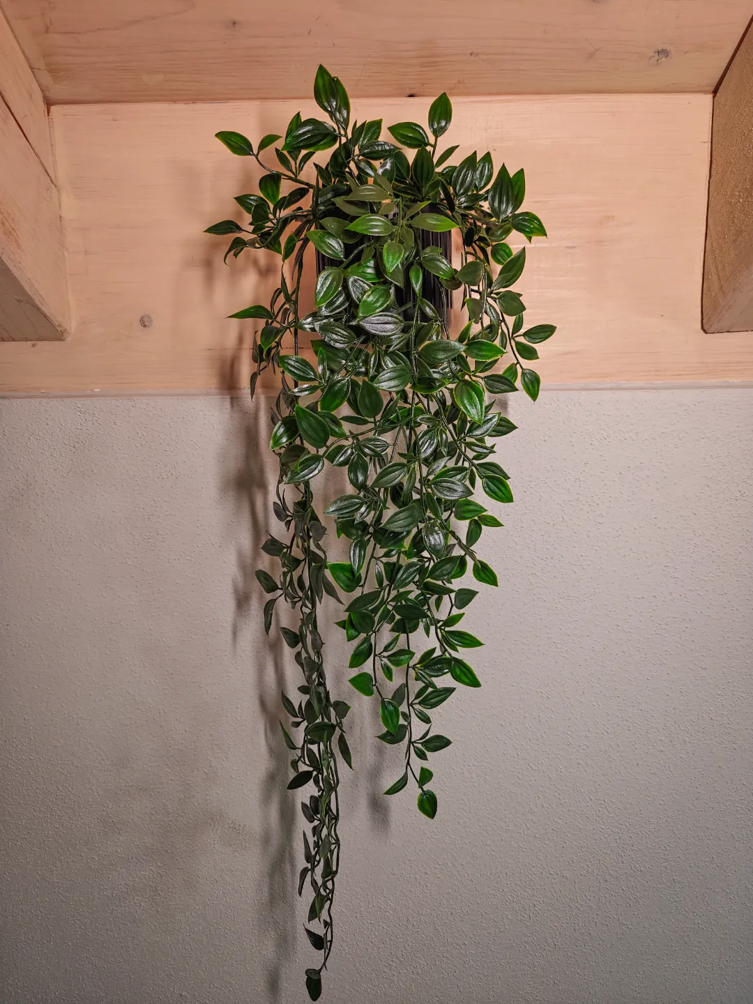 Wall Mount Planter3 3d model