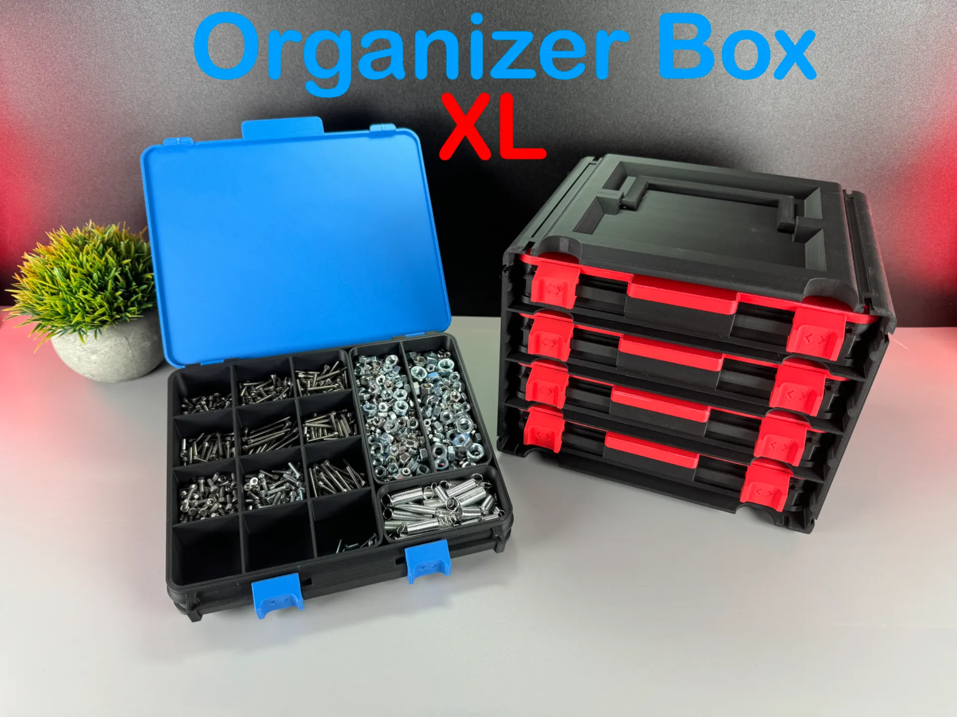 Organizer Box XL 3d model