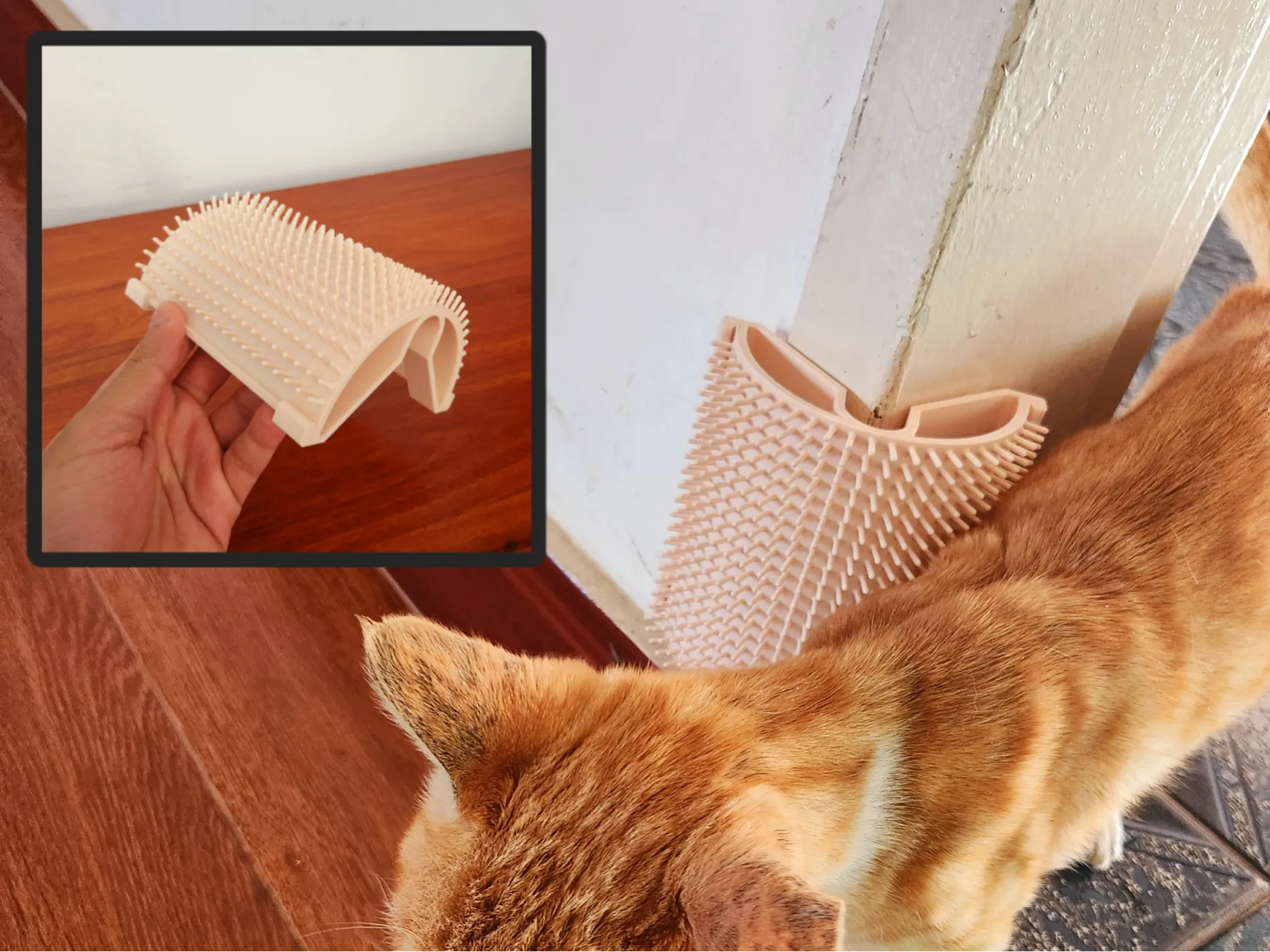 Self Groomer For Cats 3d model