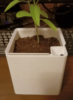 Overdesigned self watering plant pot with wick attachment1 3d model
