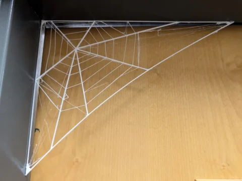 Door Frame Spider Web 3d model