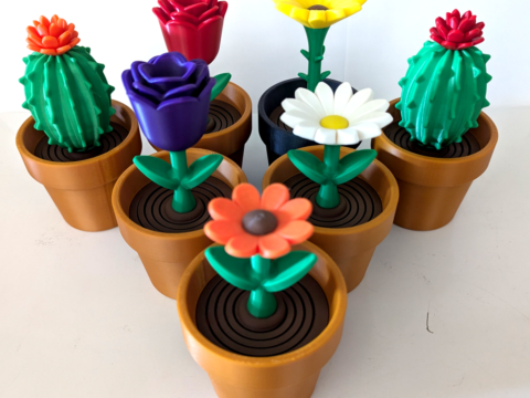 Springy Flower Collection 3d model