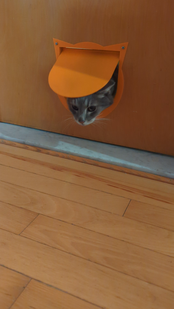 Cat door 3d model