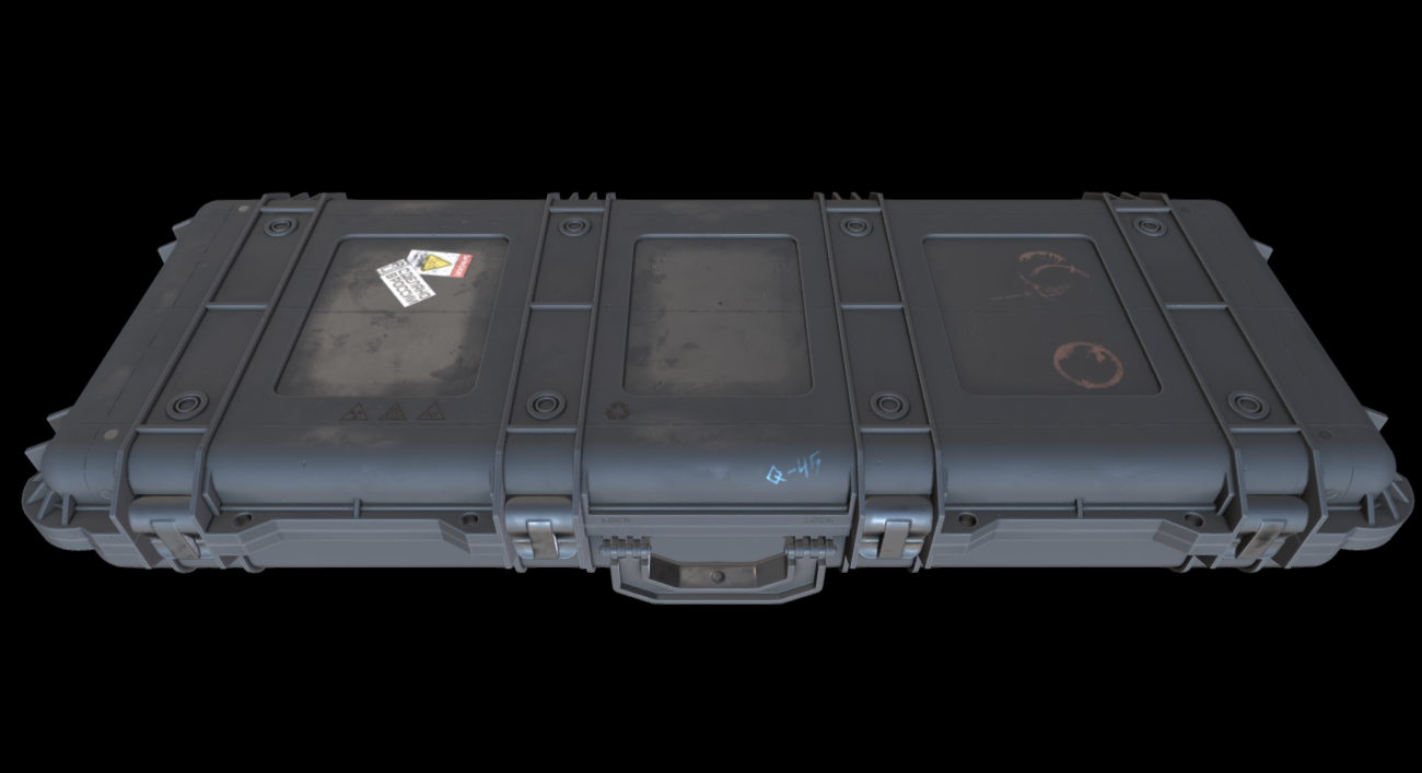 Weapon Case 3d model