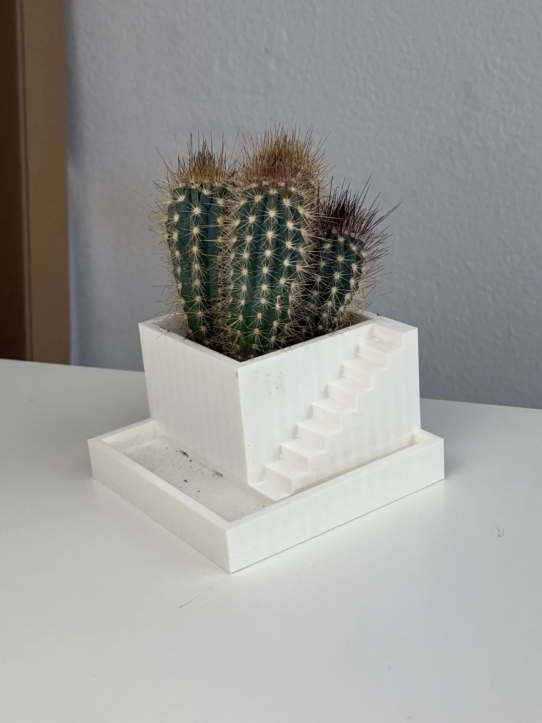 Steps Planter / Cactus Pot 3d model