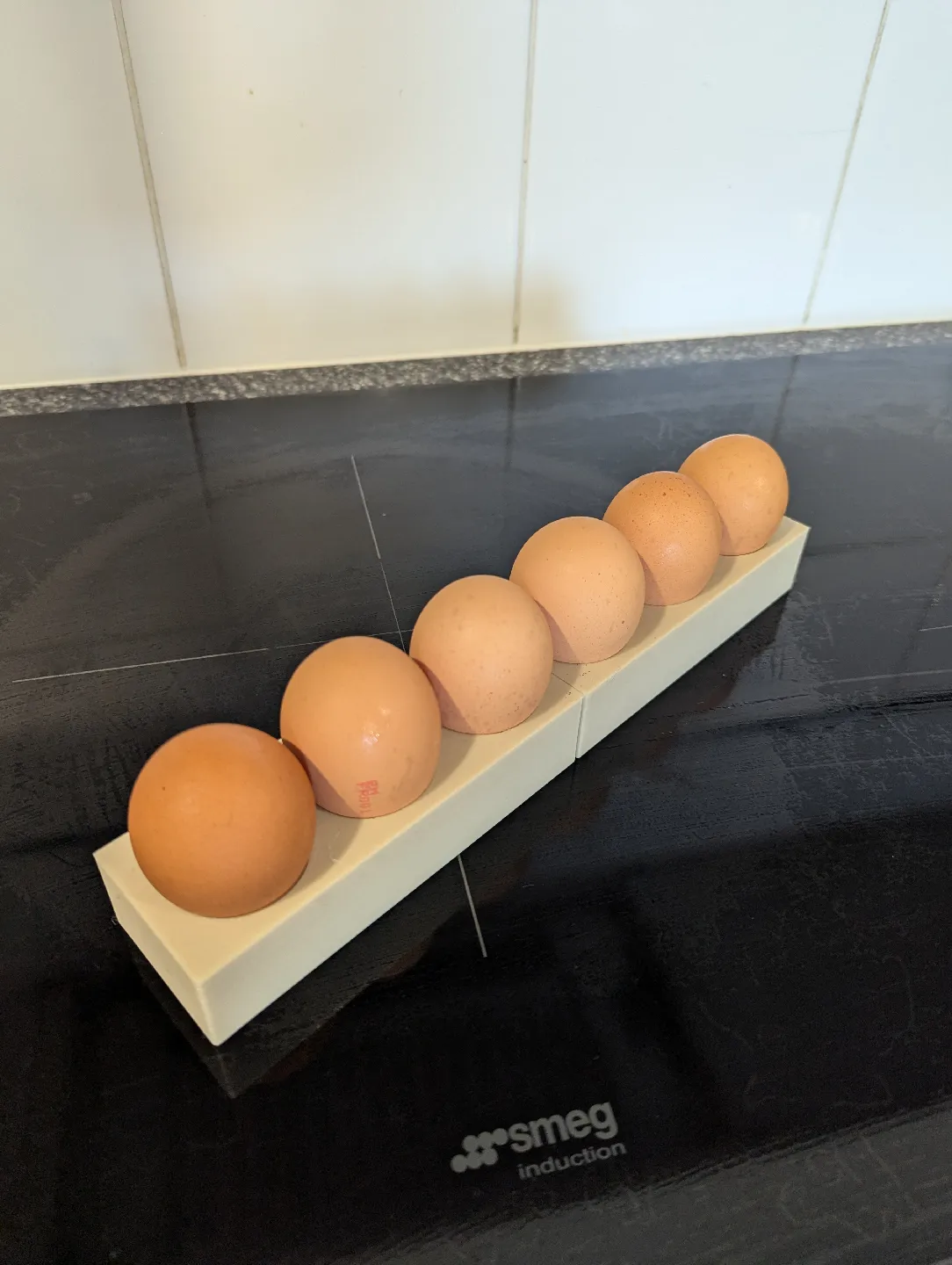 Egg Tray 3d model
