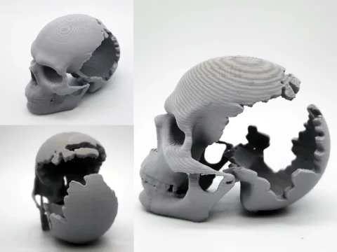 Gouged-Out Skull 3d model