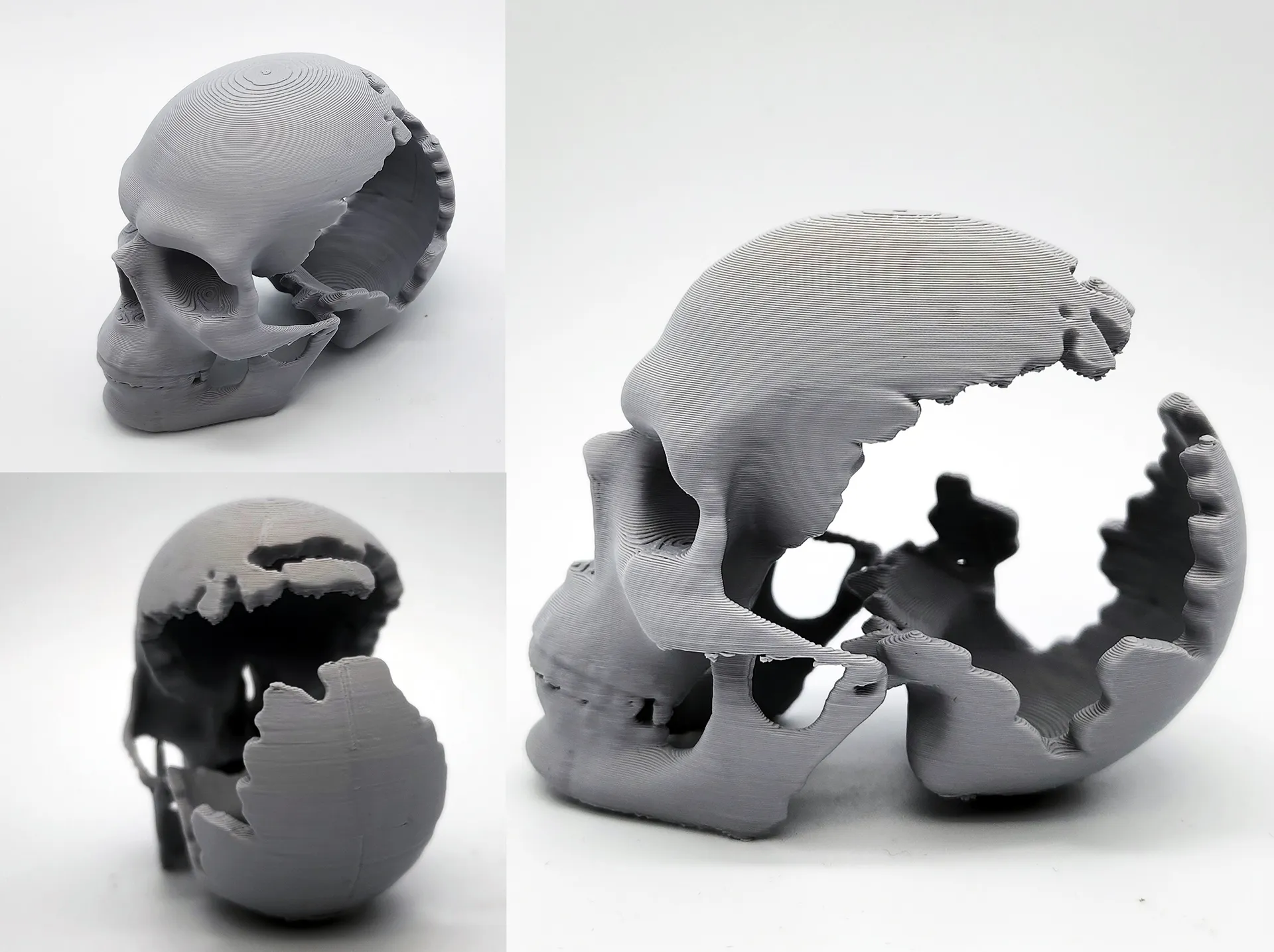 Gouged-Out Skull 3d model