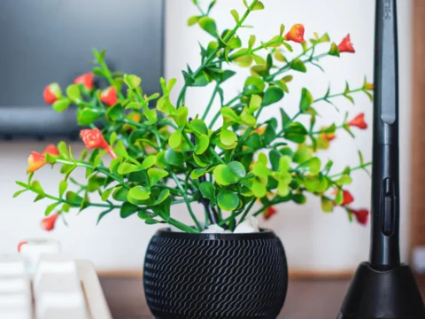 Spherical Desk Planters 3d model
