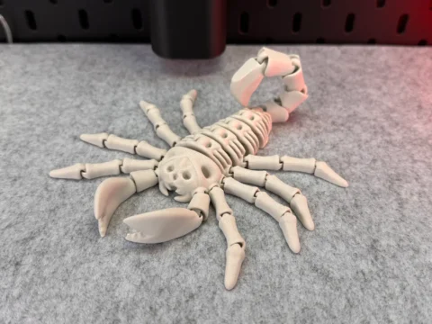 Flexi Skeleton Scorpion 3d model