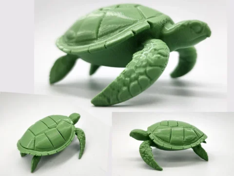 Sea Turtle 3d model
