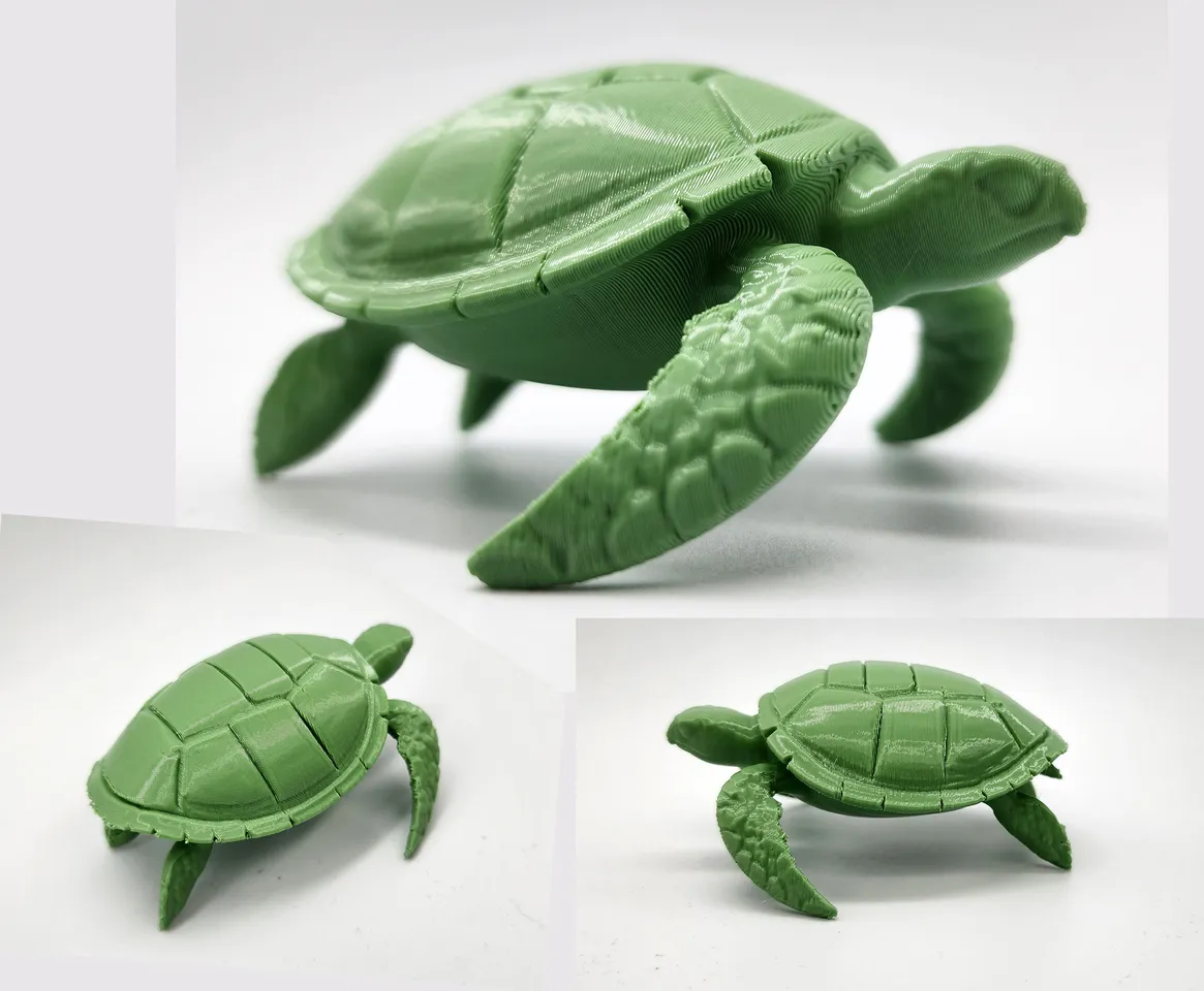 Sea Turtle 3d model