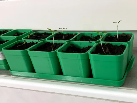 Seed Starter Kit 3d model