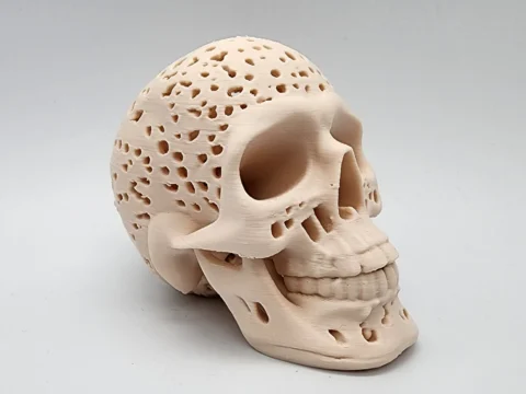 Swiss Cheese Skull 3d model