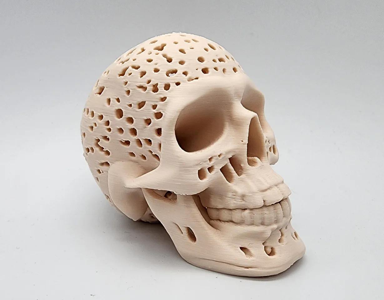 Swiss Cheese Skull 3d model