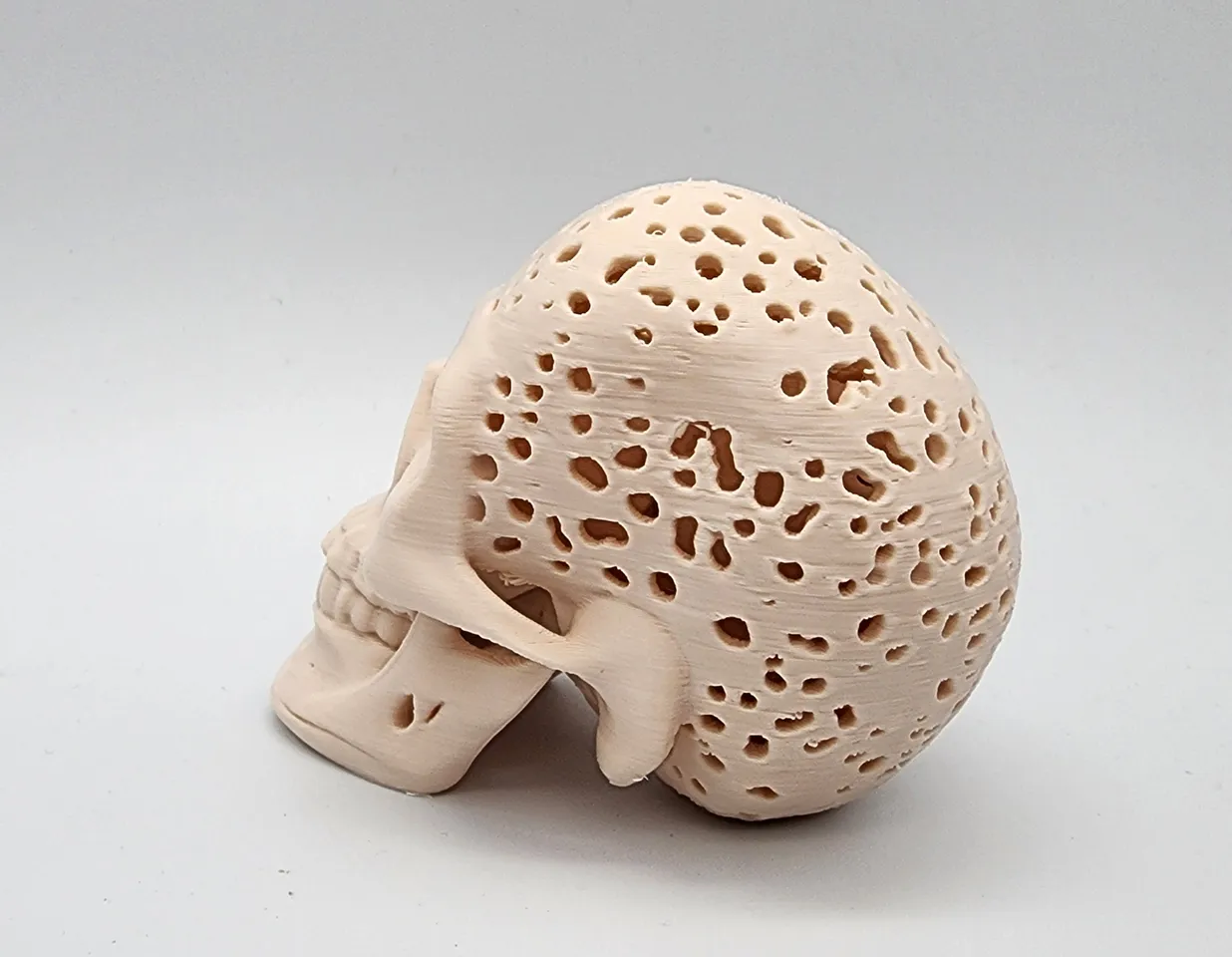 Swiss Cheese Skull2 3d model