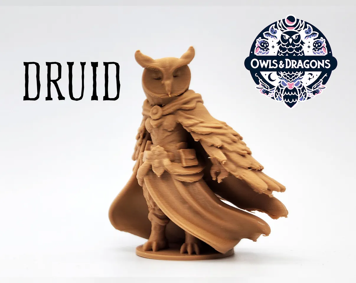 The Druid - Owls & Dragons 3d model