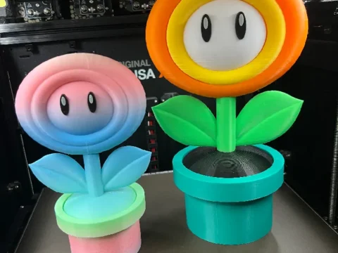 Fire Flower with Warp Tunnel 3d model