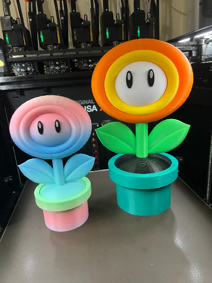 Fire Flower with Warp Tunnel 3d model