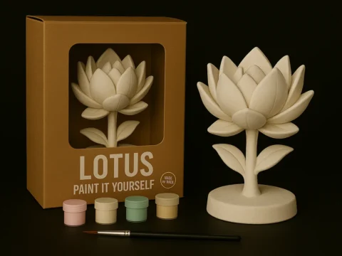 Lotus – Paint-It-Yourself 3d model