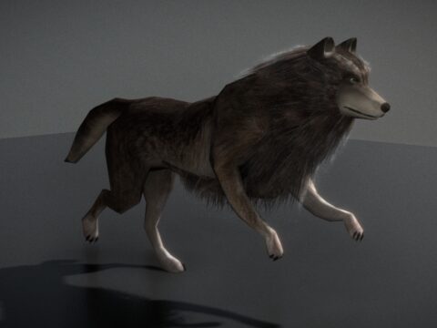 Wolf with Animations 3d model