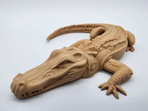 Alligator 3d model