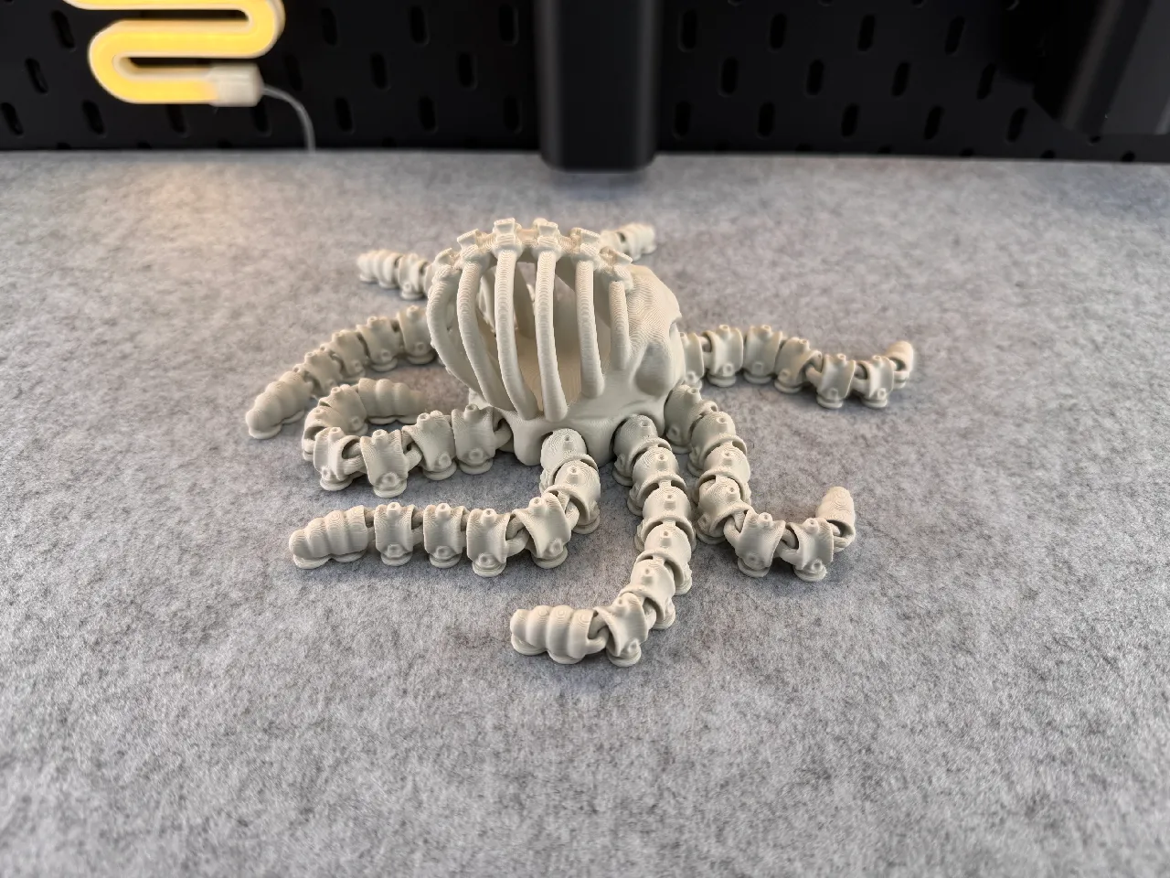 Articulated Skeleton Octopus2 3d model