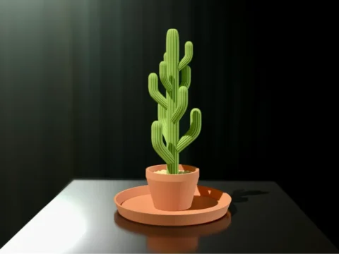 Jewelry Cactus 3d model