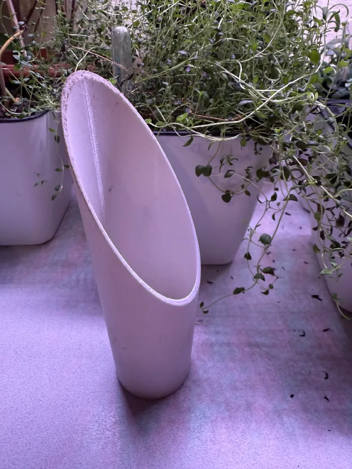 Scoop 3d model