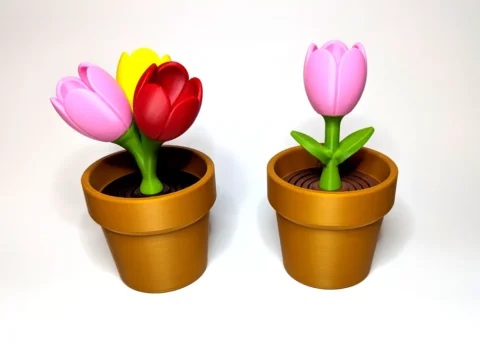 Tulip - Springy Flower Collection 3d model