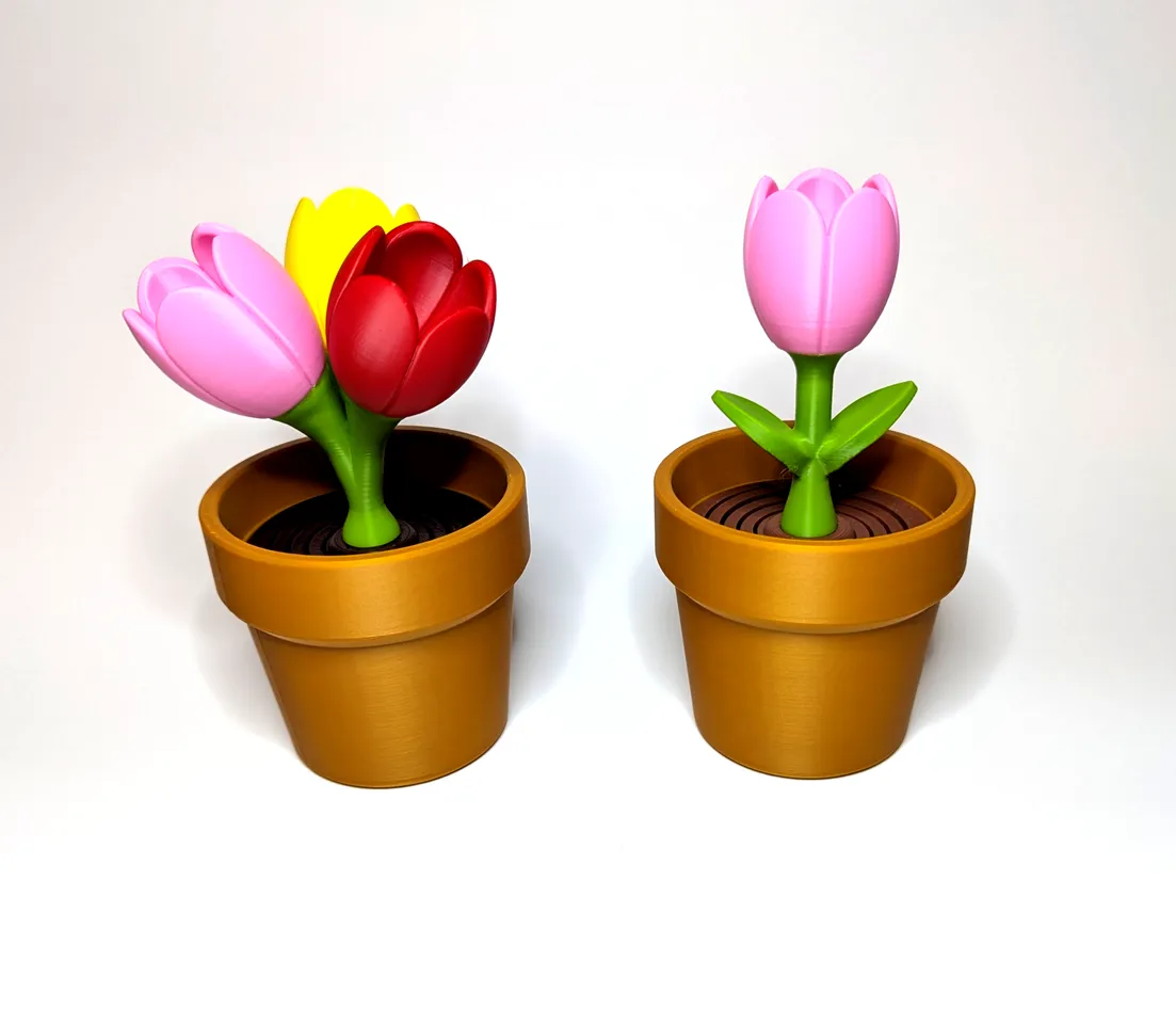 Tulip - Springy Flower Collection 3d model