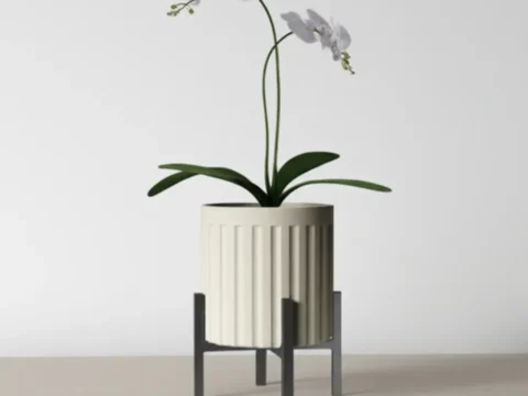 Modern Flowers Pot 3d model