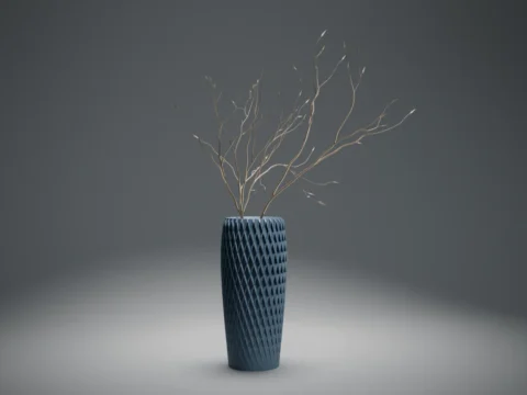 Spiral Vase 3d model