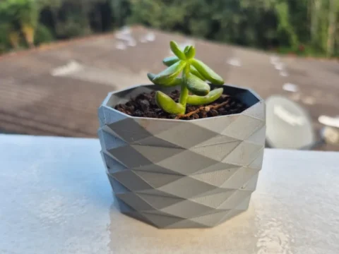 Succulent Vase 3d model