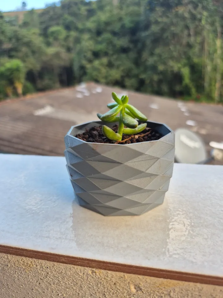 Succulent Vase 3d model